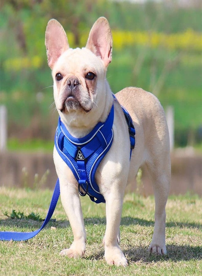 Shopurb Dog Harness No Pull, Walking Pet Harness with 2 Metal Rings and Handle Adjustable Reflective Breathable Oxford Soft Vest Easy Control Front Clip for Small Dogs and Puppy - Image 1